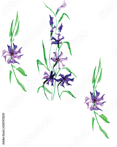 FLORAL FLOWERS WITH WHITE BACKGROUND