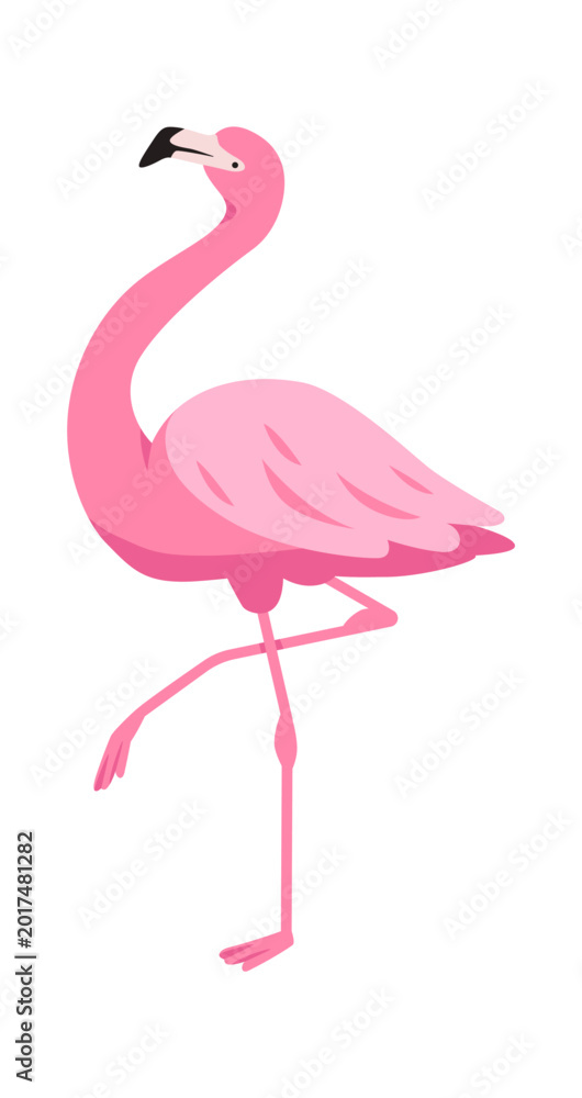Fototapeta premium Flamingo Standing On One Leg Cartoon Style