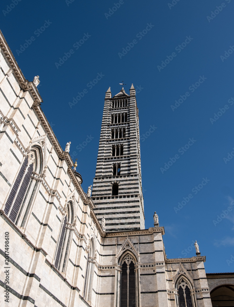 Fototapeta premium Looking up at the bell tower of the Duomo di Siena, Tuscany, Italy