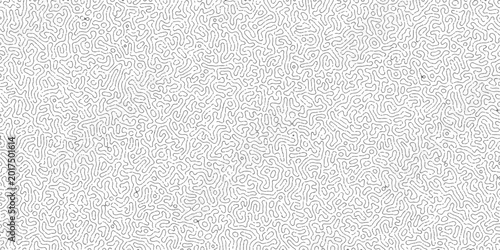 Photos Abstract Reaction-diffusion Turing pattern natural texture white grey color scheme