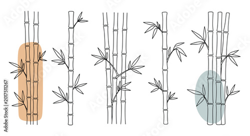 Collection of various hand drawn bamboo stalks with leaves, featuring minimalist black outlines and subtle background color shapes.