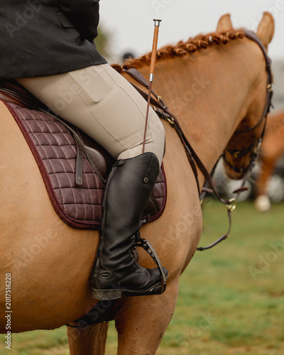 EQUESTRIAN EVENT