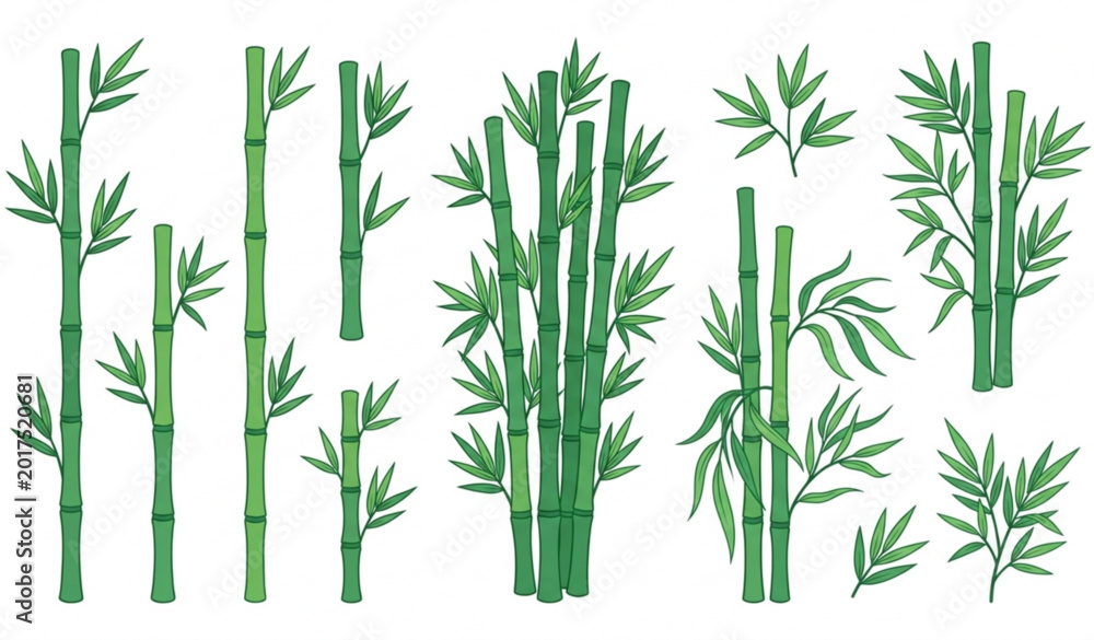 Fototapeta premium Bamboo vector illustration set with green bamboo stalks and leaves isolated on white