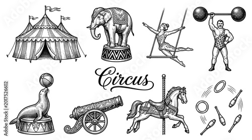 Vintage Circus Vector Illustration Set with Big Top Tent Elephant Strongman Trapeze Artist Carousel Horse and Juggling Equipment Hand Drawn Engraving Style Performance Graphics