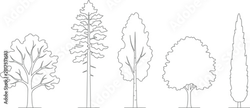 Five diverse deciduous and coniferous trees outlined in grey on a white background illustrating various botanical shapes