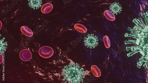 Visualization of hantavirus viral infection in the human body – pathogen cells in the bloodstream (medical animation)
