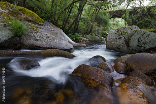 Foto Antiguo puente de piedra sobre el río Francia rodeado de naturaleza salvaje y bo