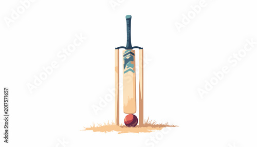 Cricket bat ball wicket stumps set