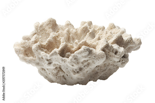 White coral shaped object isolated on transparent background for ocean conservation concept