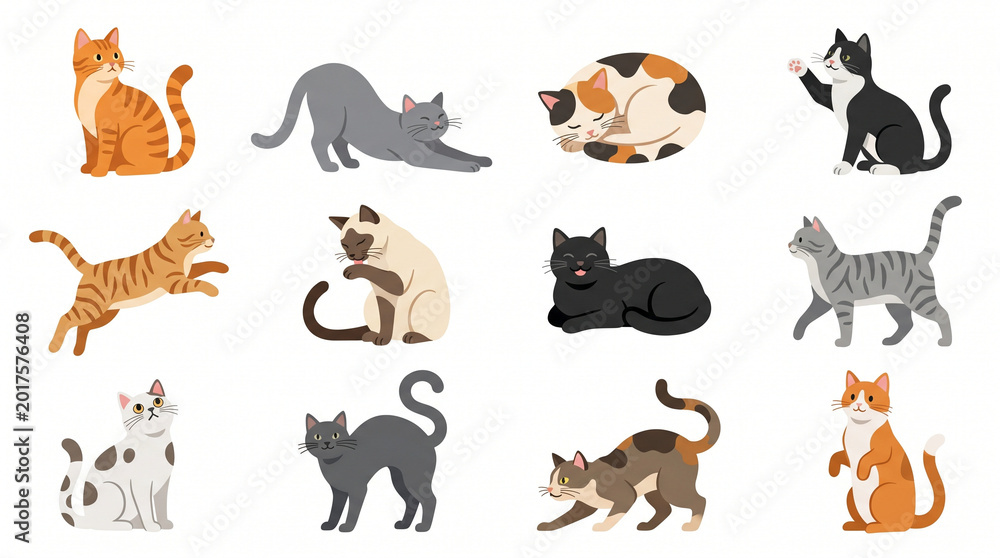 Obraz premium Colorful cute cats in various poses illustrating the concept of Isolates 