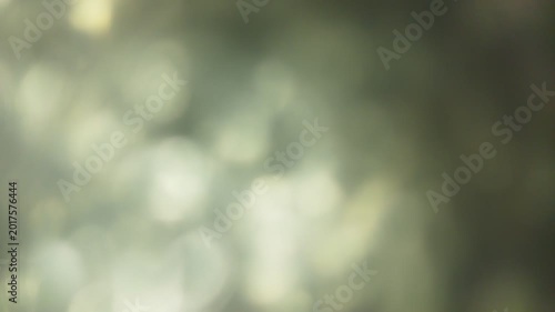 Abstract Soft Focus Silver Glittering Festive Bokeh Background