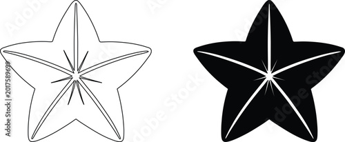 Bild auf Leinwand Star fruit outline and solid silhouette isolated on transparent grid background vector