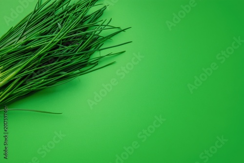 Fresh green chives arranged on a vibrant green background, top-left composition with negative space, minimal culinary still life