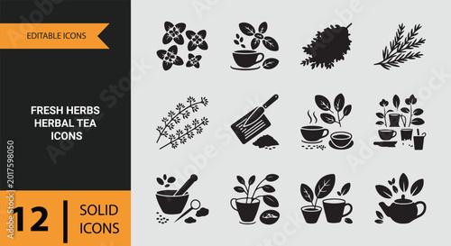 Cuadro en lienzo Fresh Herbs Herbal Tea Solid Icons for Organic Beverage and Cafe Design