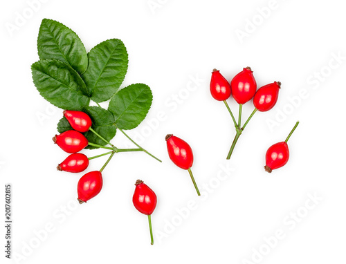 Billede på lærred Rose hip isolated on a white background, contour