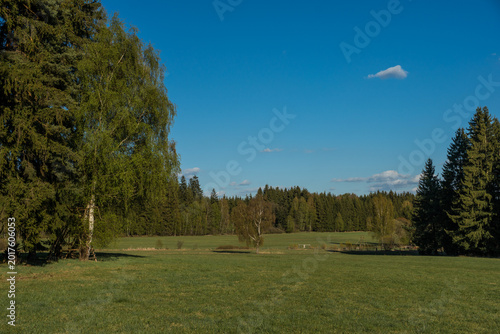 Peaceful Spring Meadow and Forest Landscape in Vysočina