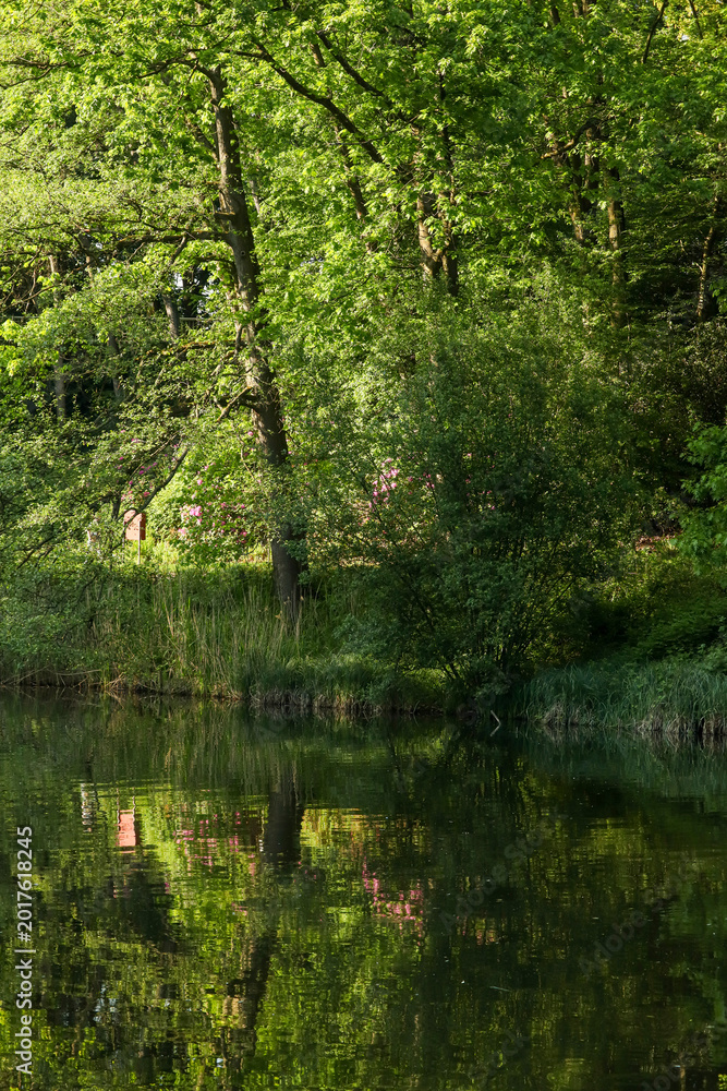 Fototapeta premium Serene lake reflecting lush green hills under the cloudy sky, a calm and peaceful natural landscape