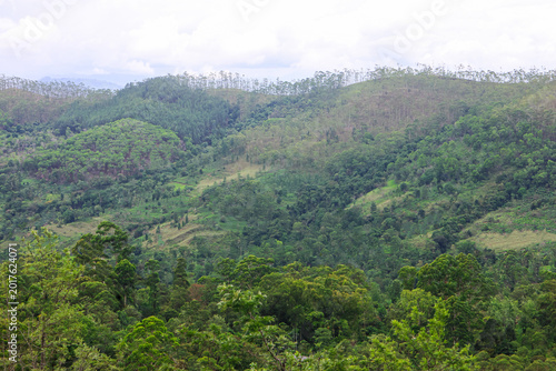 Fotografia Breathtaking aerial view of the verdant mountain landscapes and tea plantations of Sri Lanka's hill country under a cloudy sky