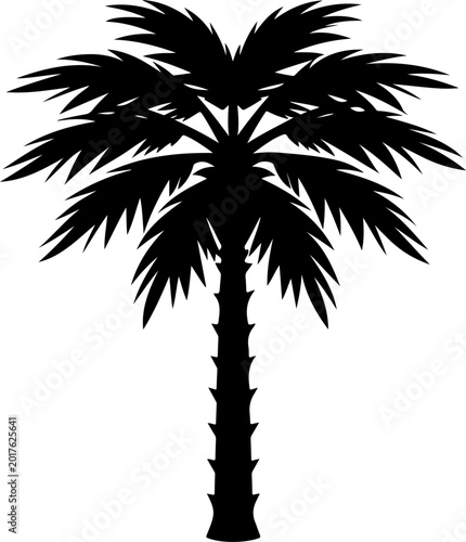 Konstfotografi Palmetto tree black silhouette vector illustration