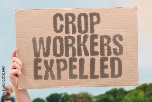 Fotografija "Crop Workers Expelled" Agricultural workers are expelled after completing essential seasonal work