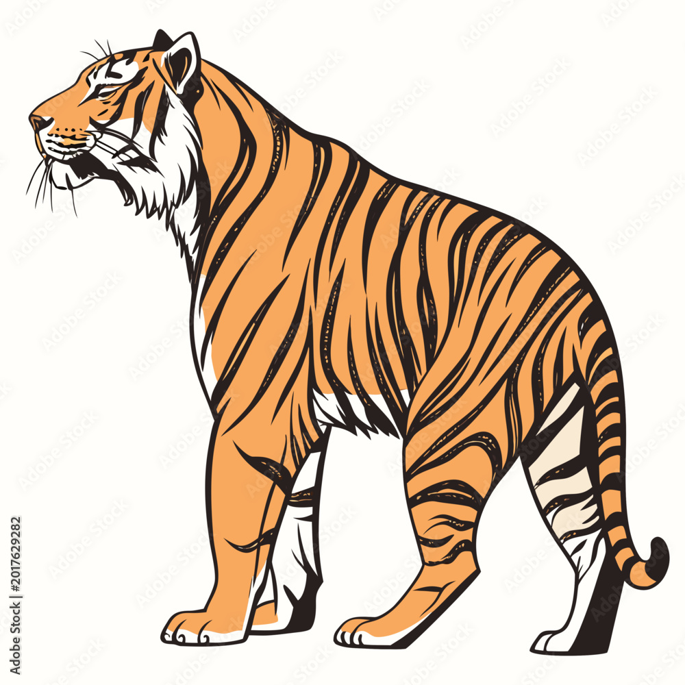 Obraz premium Tiger stands in a profile view to highlight its bold orange and black stripes and powerful muscular build.