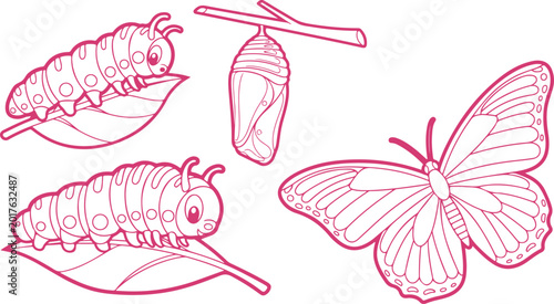 Konstfotografi Illustrated life cycle of butterfly showing caterpillar larva pupa and adult but