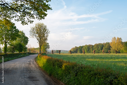 country road in the countryside
