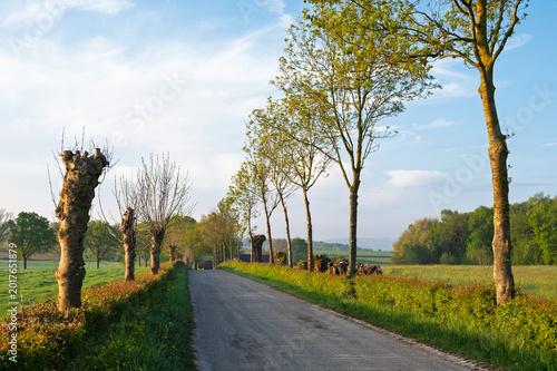 road in the countryside