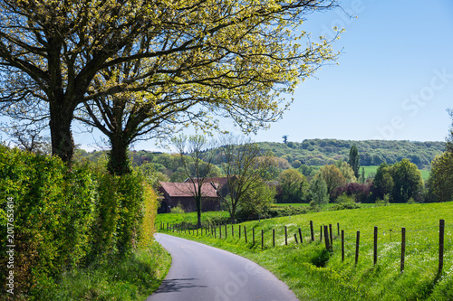 road in the countryside