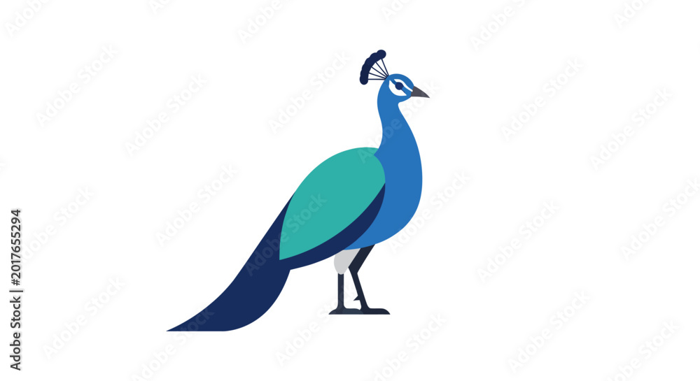Fototapeta premium Elegant Peacock Standing Profile