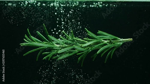 A fresh sprig of rosemary submerged in dark water, creating small bubbles and ripples, symbolizing freshness and natural ingredients