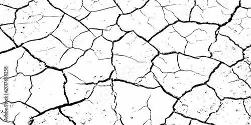 Принти на полотні A high-contrast, black and white texture overlay of extensively cracked and distressed dry ground, featuring jagged, organic fissures and subtle granular details against a stark white background