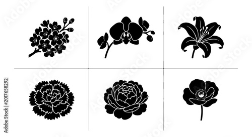 Photos Elegant Black Floral Silhouettes, Set of 6 Vector Icons: Cherry Blossoms, Orchid