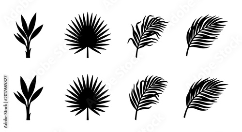 Tropical Palm Leaf Silhouettes, Set of 8 Vector Icons for Summer and Nature Designs, Black and White Botanical Elements