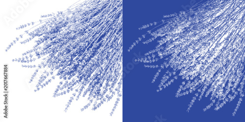 Bild auf Leinwand Butterfly Cyanotype Photogram Insect Vector Indigo Wings Specimen Boho Wall Art