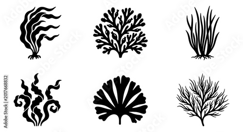 Set of 6 Black and White Seaweed Icons, Marine Plant Vector Graphics, Underwater Flora Illustrations, Ocean Botanical Elements