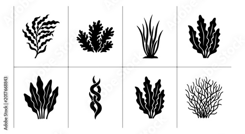 Ocean Seaweed Vector Icons Set, Marine Algae Plant Silhouettes, Underwater Flora Graphics, Aquatic Vegetation Collection