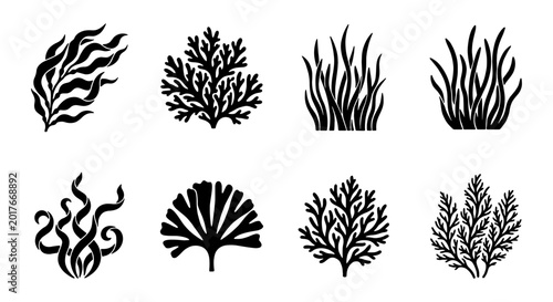 Set of 8 Black and White Seaweed and Algae Icons, Marine Plant Vector Graphics for Oceanography and Underwater Design Elements