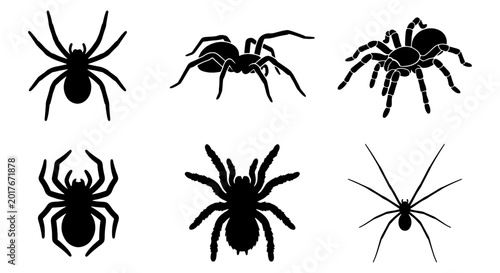 Photos Six Black Spider Silhouettes, Arachnid Vector Icons, Creepy Insect Graphics for