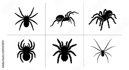 Tableau sur toile Six Black Spider Silhouettes, Arachnid Vector Icons for Halloween and Horror The