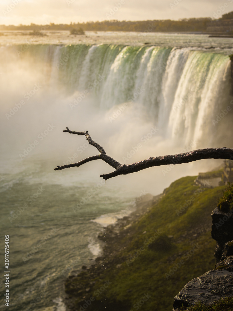 Fototapeta premium Pristine Wilderness and Plunging Waters of Victoria Falls