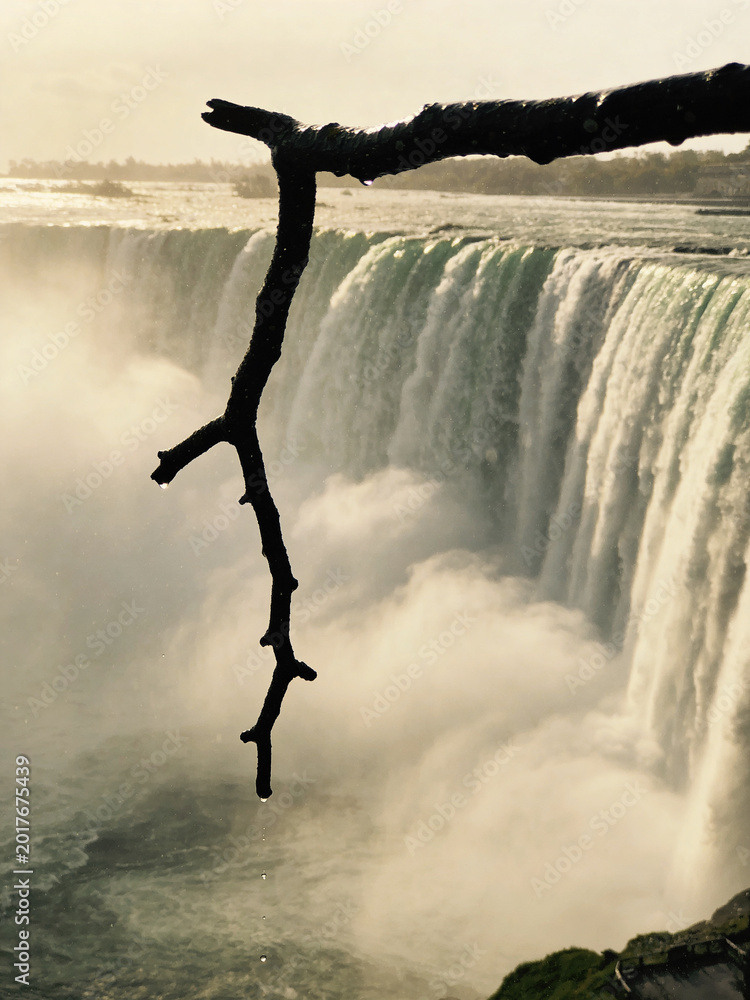 Fototapeta premium Pristine Wilderness and Plunging Waters of Victoria Falls