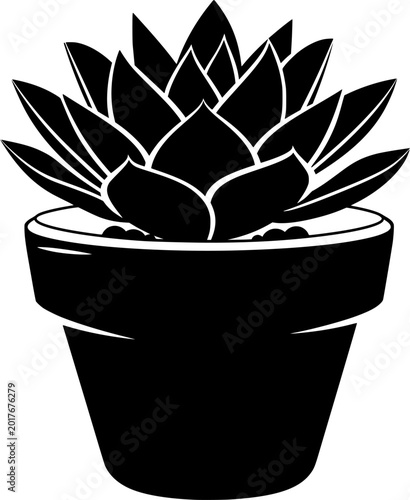 Succulent Silhouette: A striking silhouette of a succulent plant in a stylish pot, perfectly capturing the minimalist charm of nature's beauty.