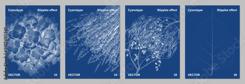 Broad Leaf Cyanotype Sun Print Tropical Vector Set Prussian Blue Wall Art
