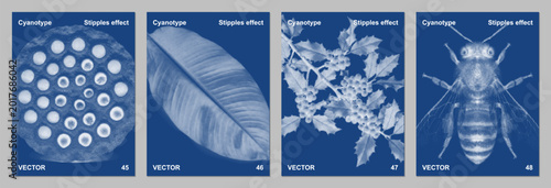 Schilderij op canvas Feathery Botanical Cyanotype Photogram Vector Set Indigo Ethereal Minimalist Wal