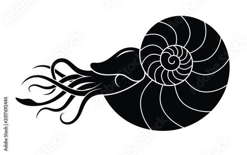 Photos Nautilus shell black silhouette vector, marine cephalopod mollusk with spiral sh
