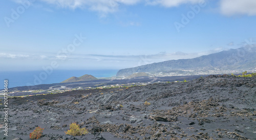 Fotografija Black volcanic landscape with hardened lava formations and sparse vegetation on