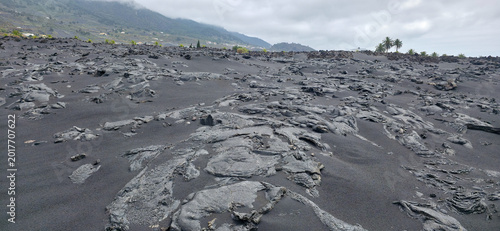 Картината върху платно Black volcanic landscape with hardened lava formations and sparse vegetation on