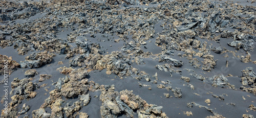 Canvas Print Black volcanic landscape with hardened lava formations and sparse vegetation on