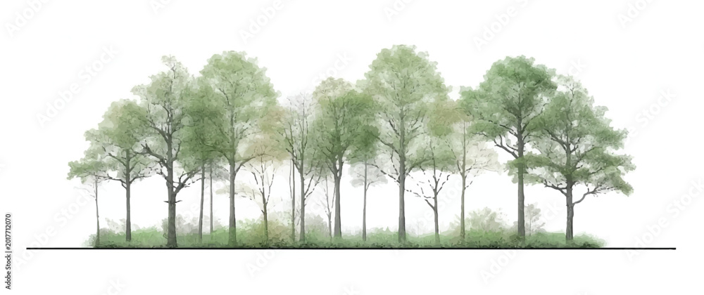Φωτογραφία Watercolor forest trees elevation view for architectural visualization and lands